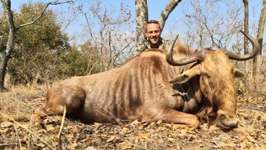 bushveld apex safari (4)