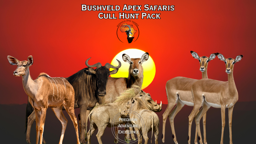 7 cull hunt pack (small)