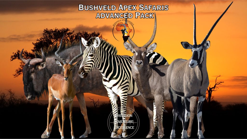 buschveld apex safari advanched package