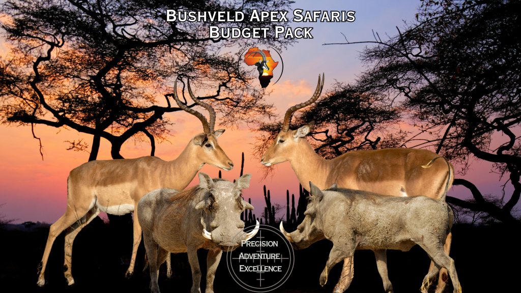 buschveld apex safari packages (7)